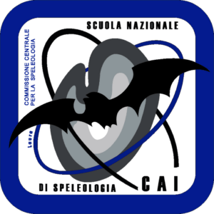 Logo sns