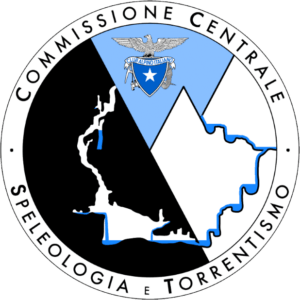 ccst logo